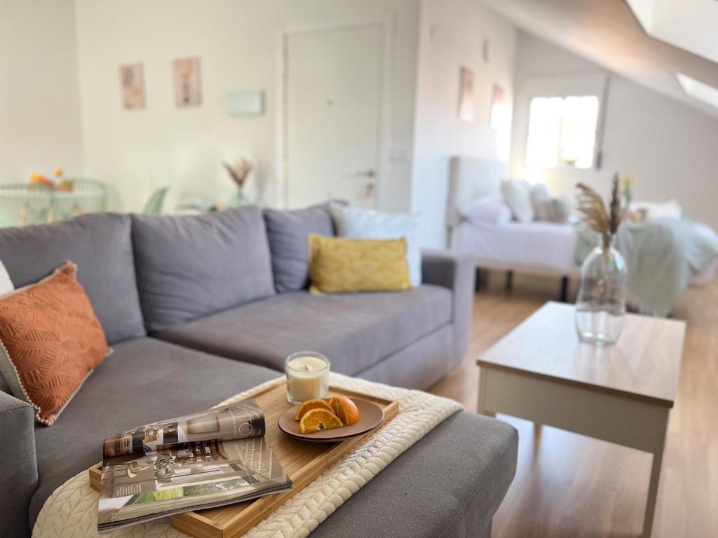 Tiétar Estudio con 1 cama grande TiétarHomes 4A